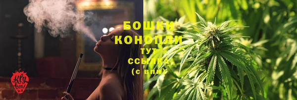 молекула духа Богородск