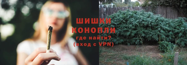 молекула духа Богородск