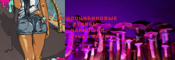 синтетический гашиш Богородицк