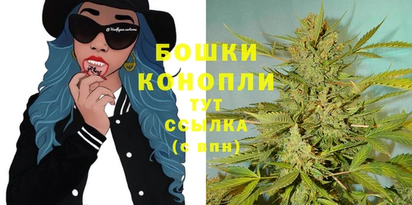 молекула духа Богородск